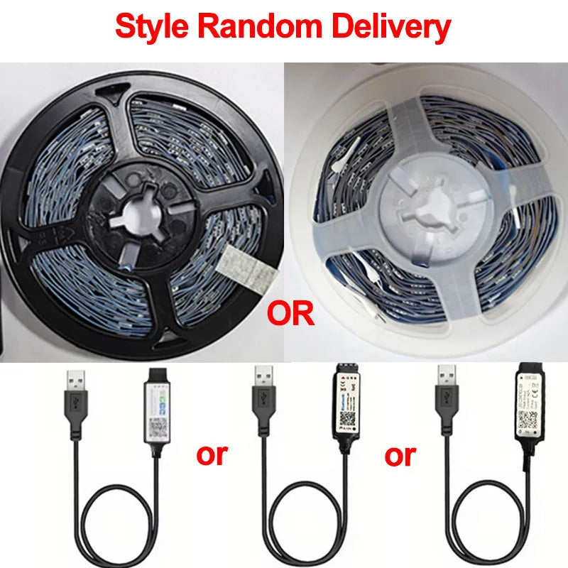 LED strip lights with USB cables on a white background, featuring 'Style Random Delivery' text.