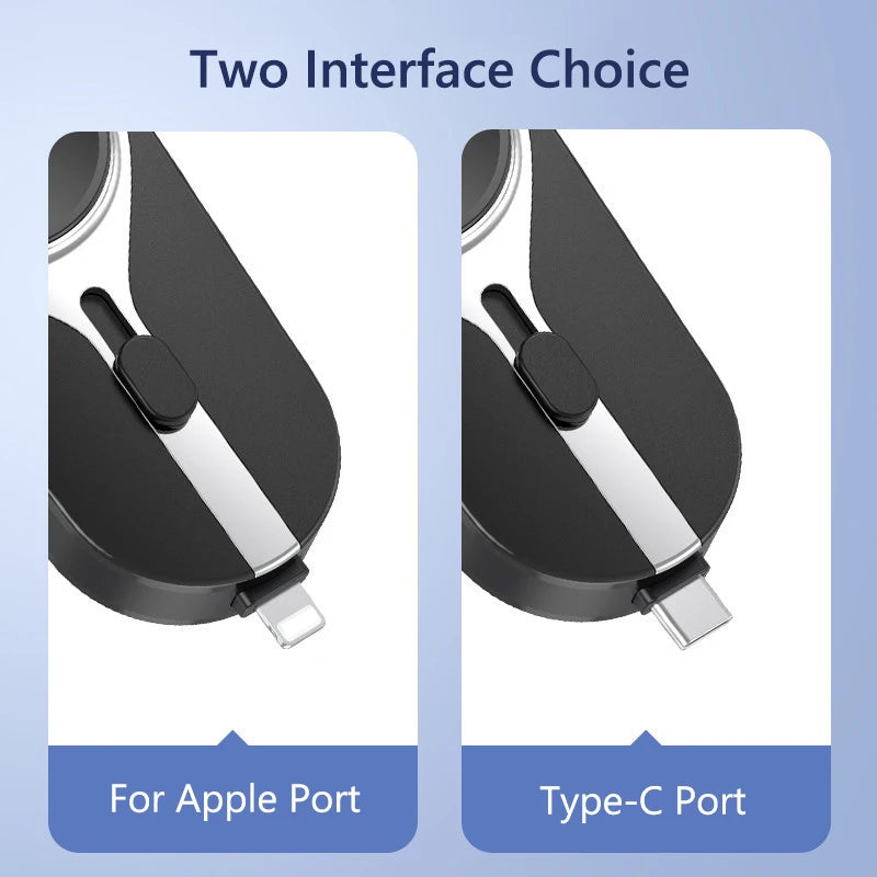 Two interface choices for a device, one for Apple Port and one for Type-C Port, on a light blue background.