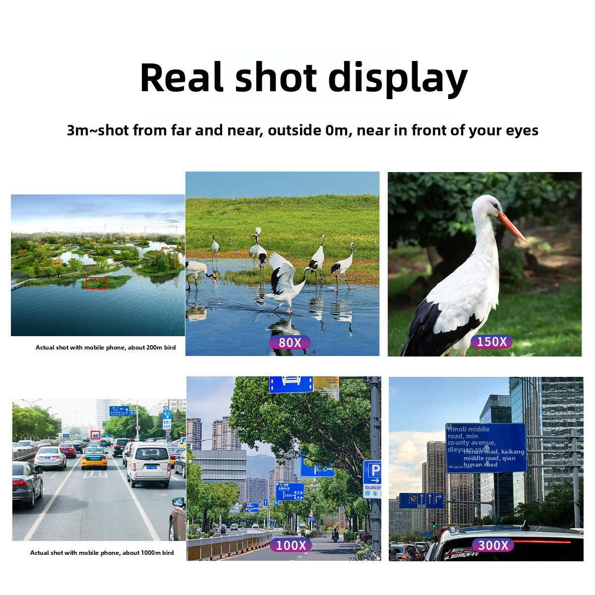 Collage of images showing different zoom levels of a bird, landscape, and urban scene.