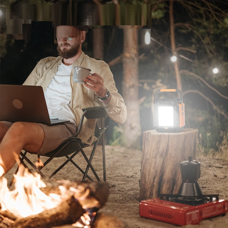 Man sitting by a campfire using a laptop with a lantern on a log in the background.