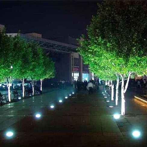 Street scene with illuminated trees and people on a sidewalk at night.